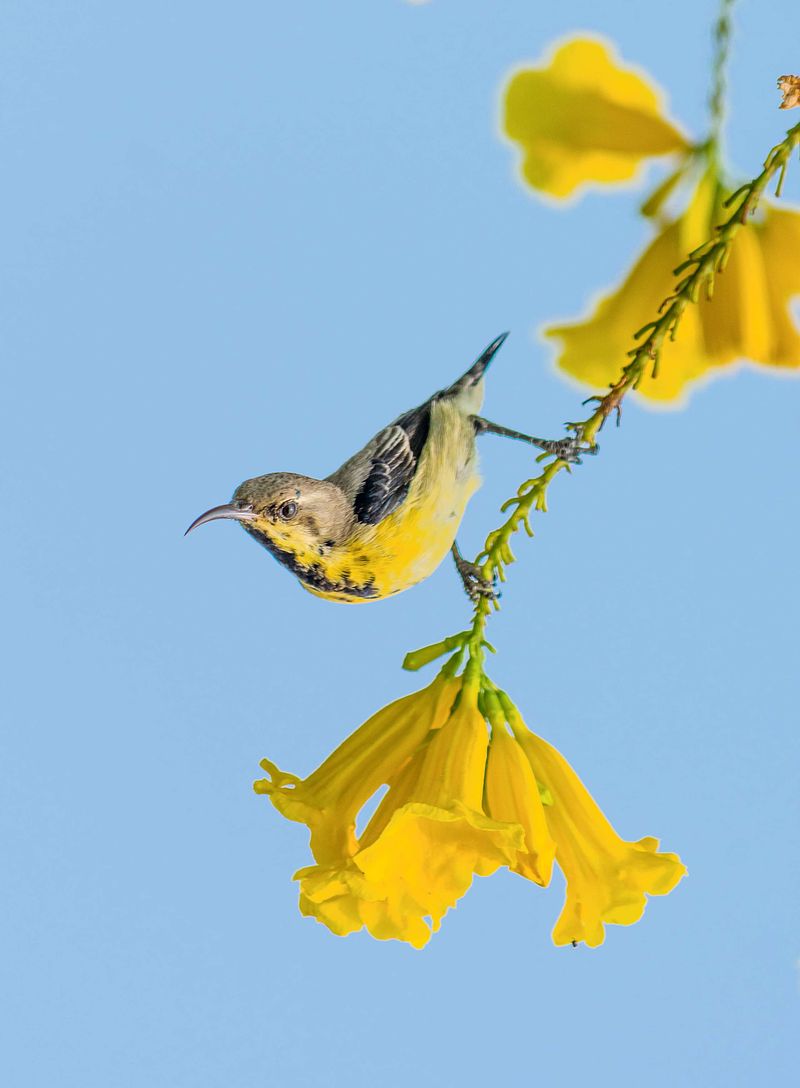 Elevate Your Photography Game, 1% at a Time