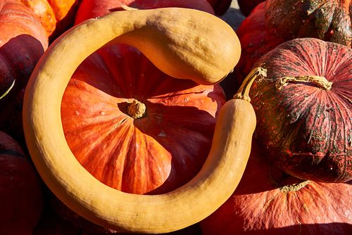 Kapelle Wilder Geschinen