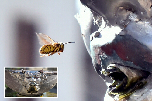 Regards d&rsquo;en haut, &eacute;motions de pr&egrave;s