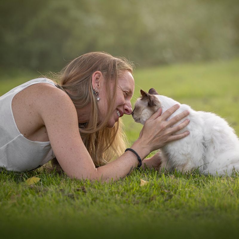 Waarom ook jouw kat een geweldig fotomodel zou zijn!