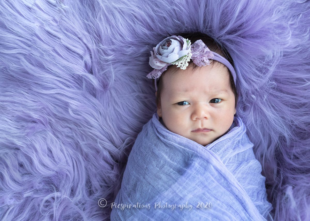 Newborn Photography - Picspirations Photography (2)