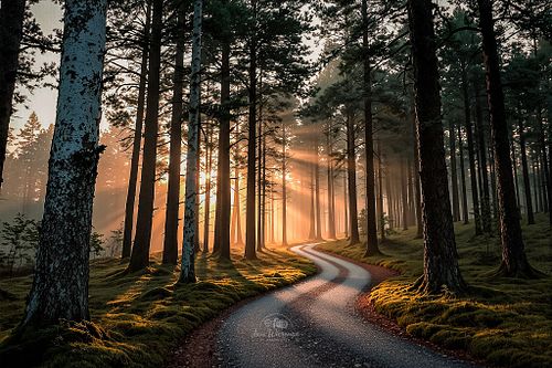 LANDSCHAPSFOTOGRAFIE