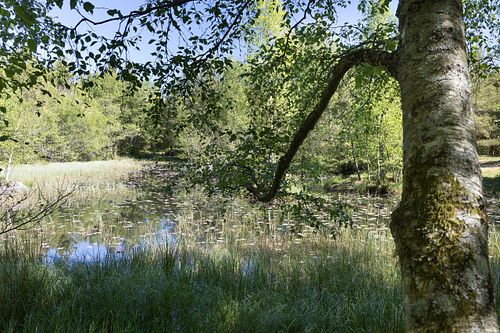 Im Nationalpark Jomfruland