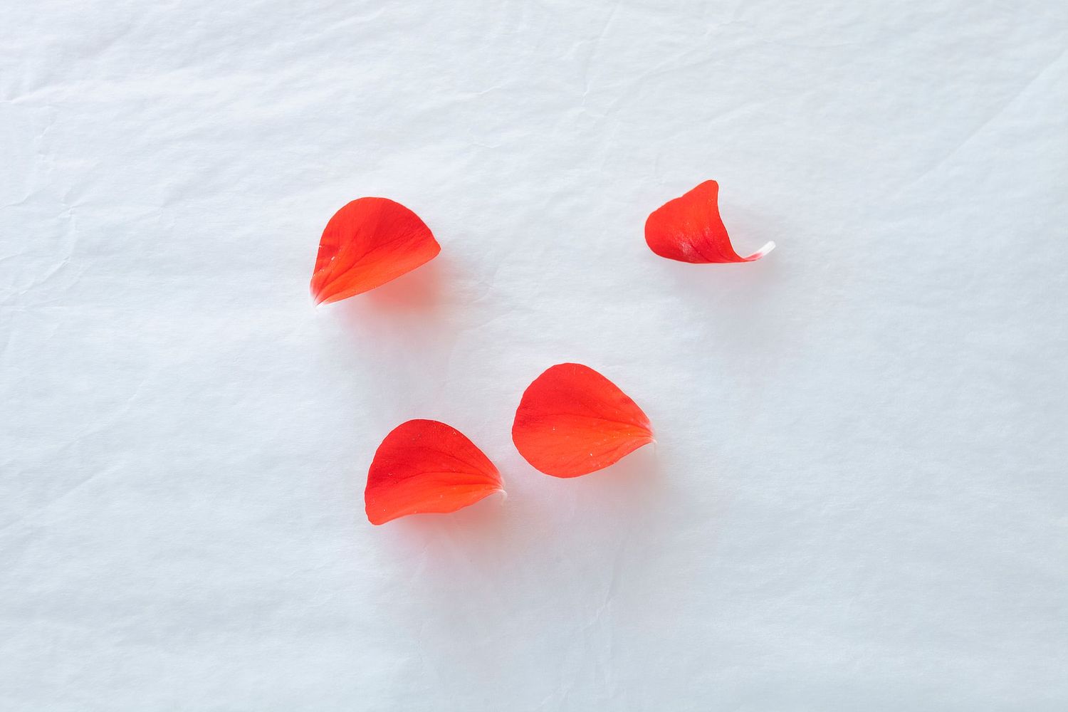 Jos&eacute; Javier Gonz&aacute;lez