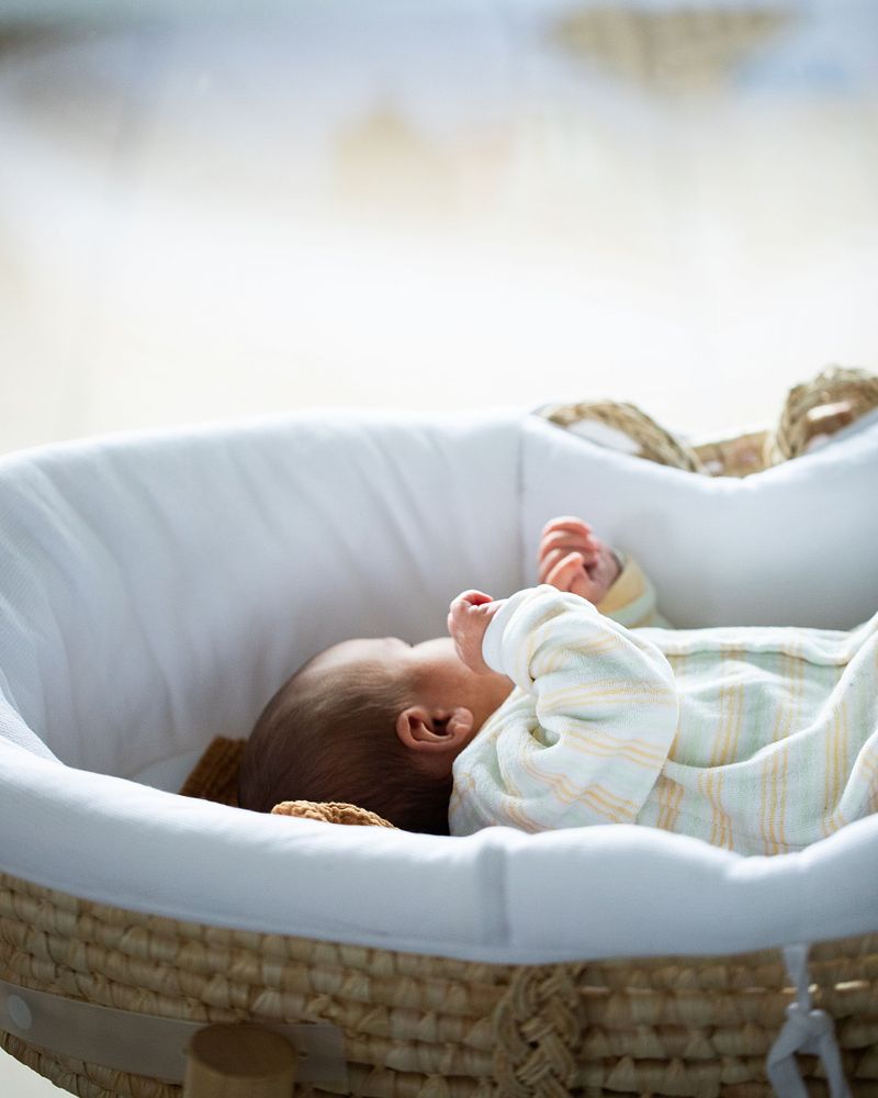 newborn / baby