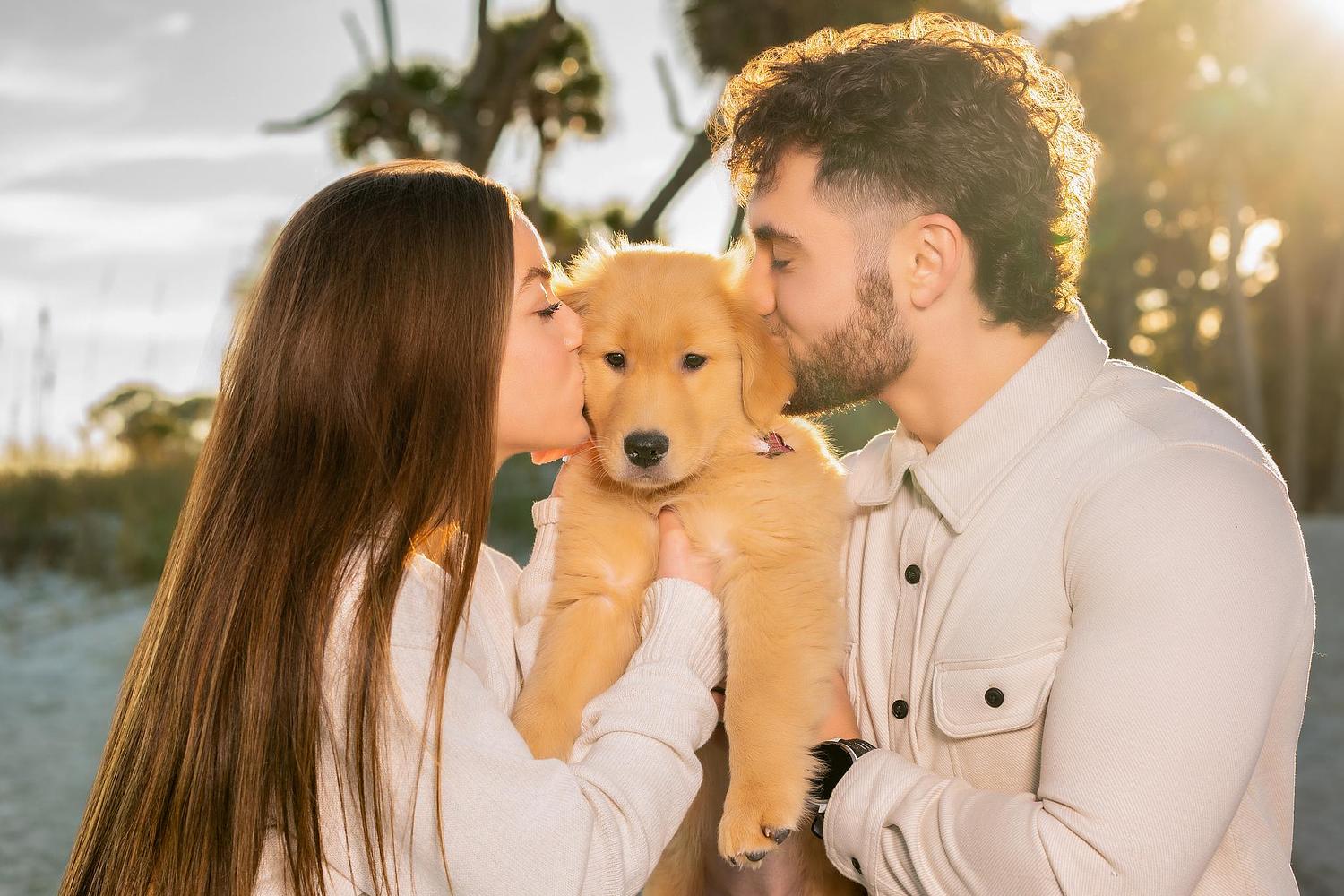 Pet photography