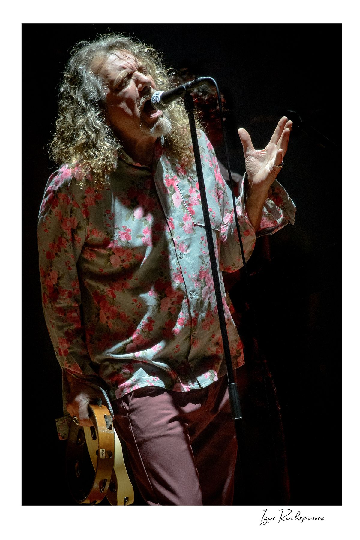 Vertical concert photography of Robert Plant singing into a microphone with expressive hand gesture under warm stage lighting during a live performance