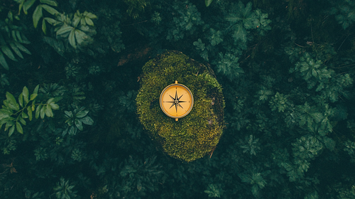 Leadership Development