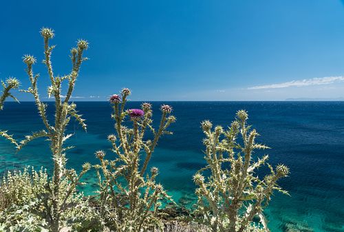 An der Bucht von Chania