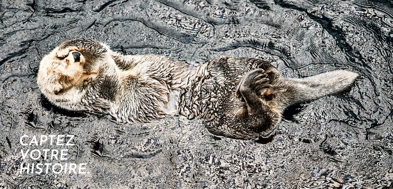 Julie Lavigne | Photographie