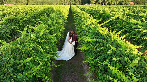 The Wedding Experience