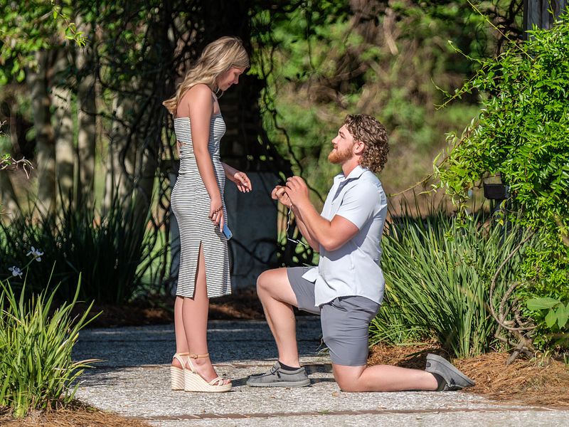 Proposal