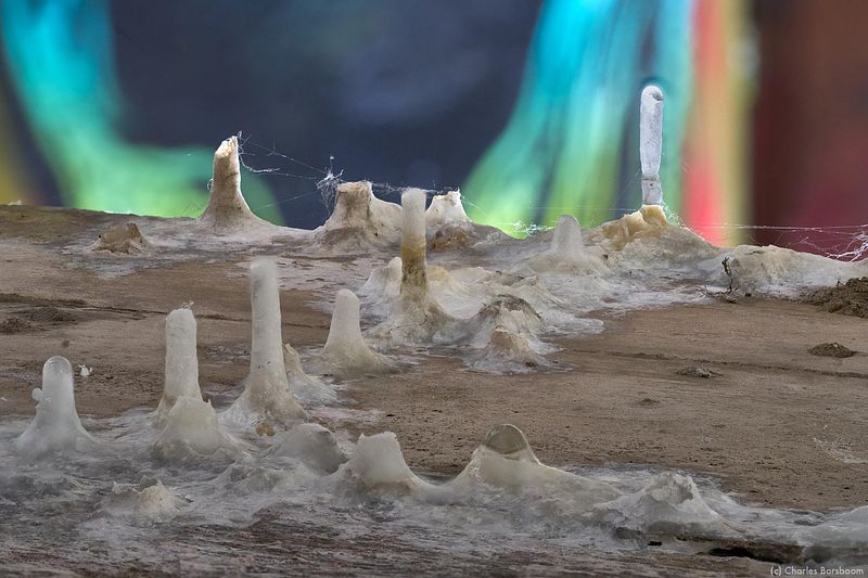 Urbexfotografie Groningen (25 april 2026)