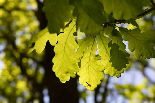 Im Nationalpark Jomfruland
