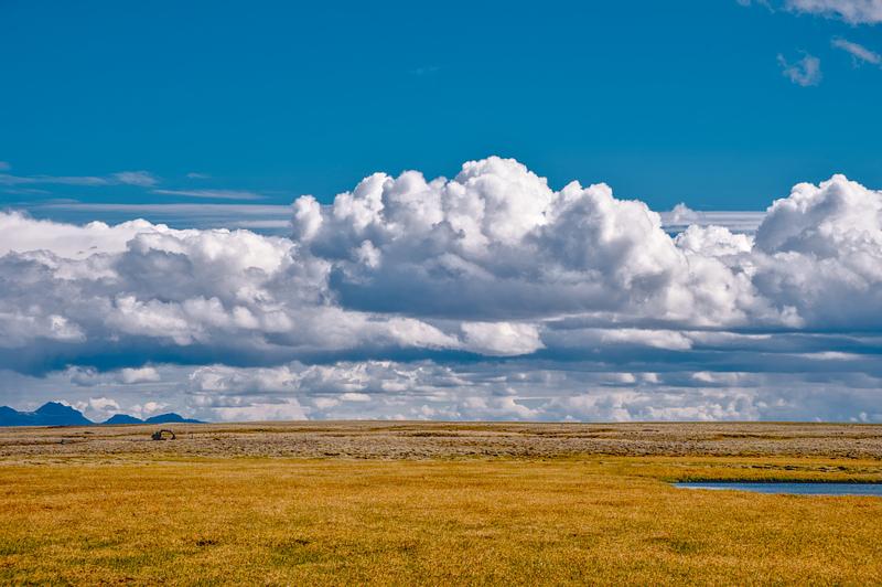 The Excavators of Iceland