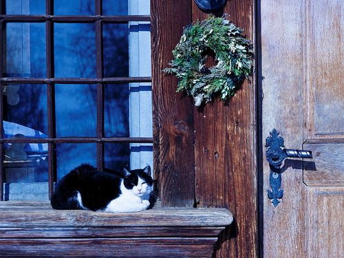 Kapelle Wilder Geschinen