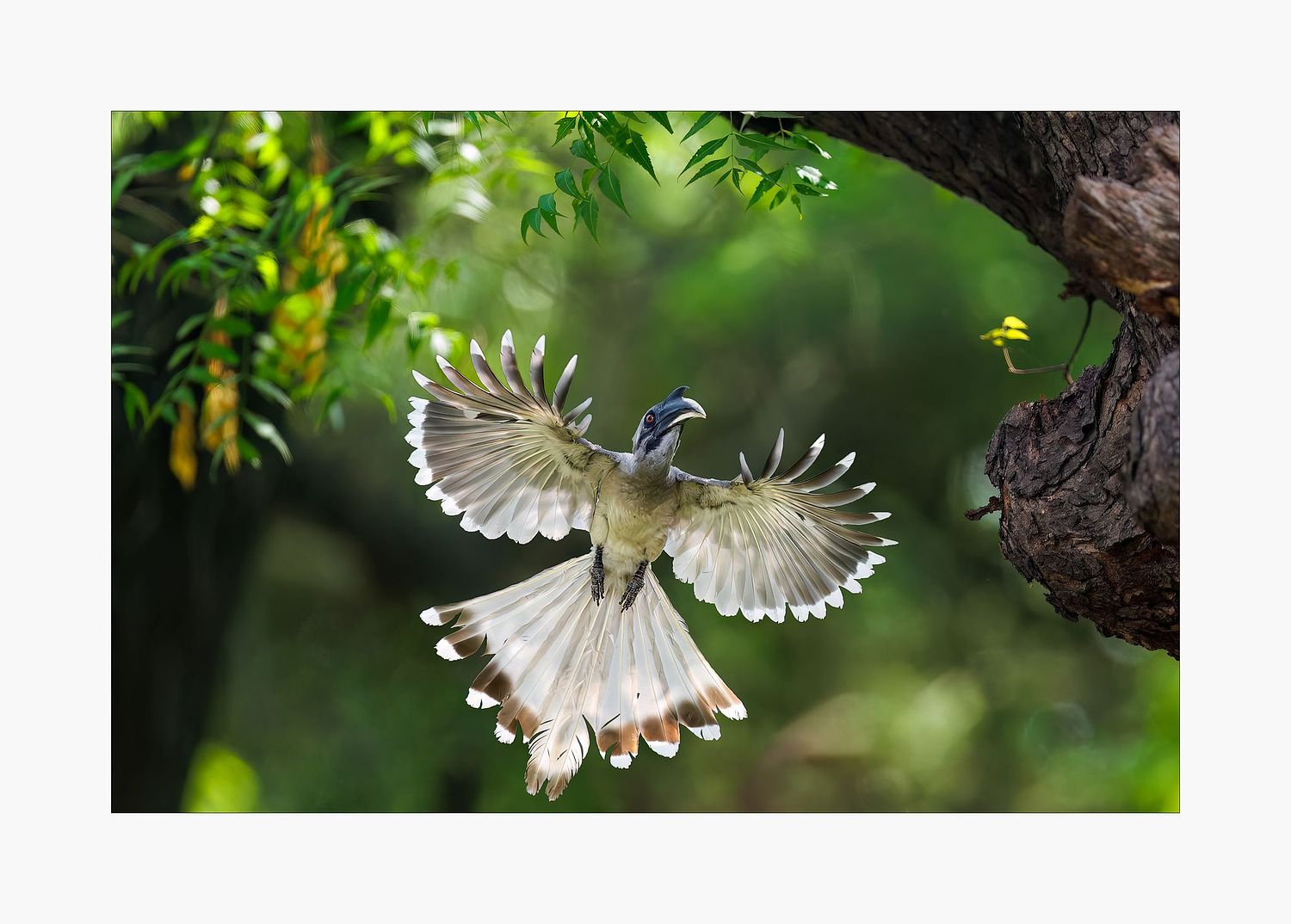 Andr&eacute; J Fanthome