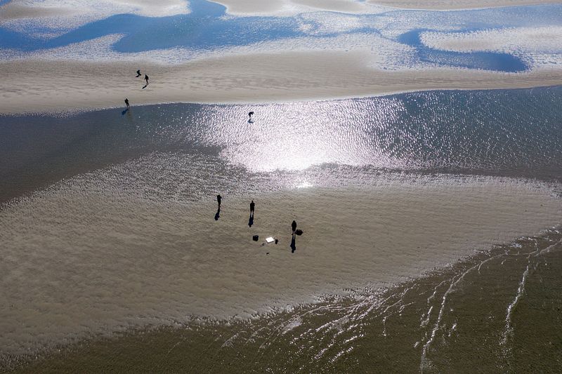 Midweek Oostelijke Waddenzee 5 dagen (4 - 8 mei 2026)