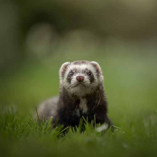 Hoe werkt een fotoshoot?