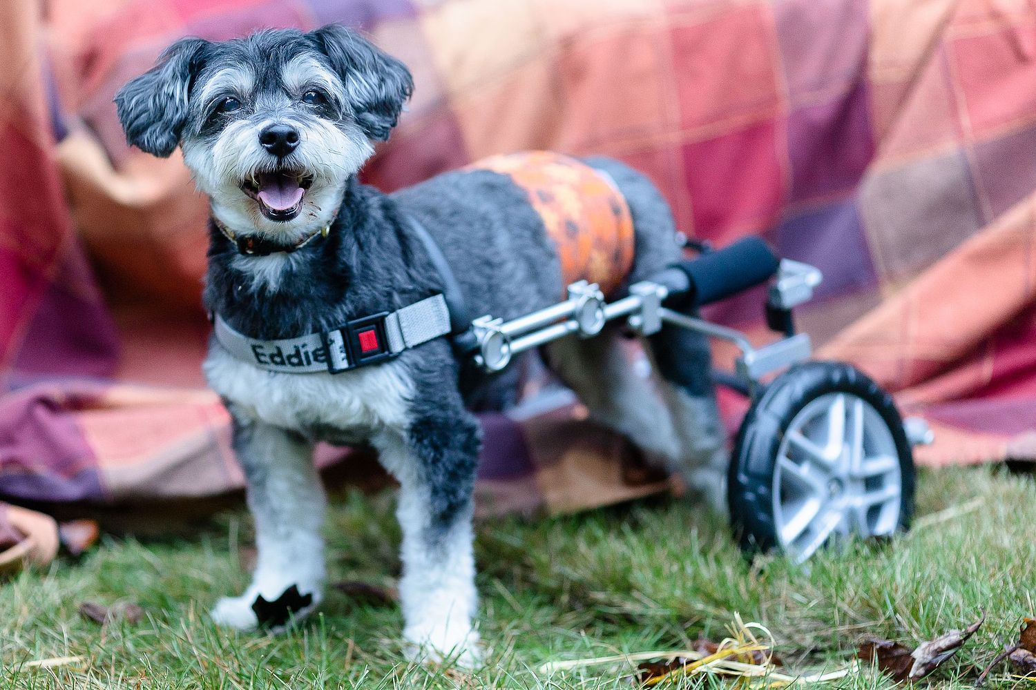 Frozen Moments Studio