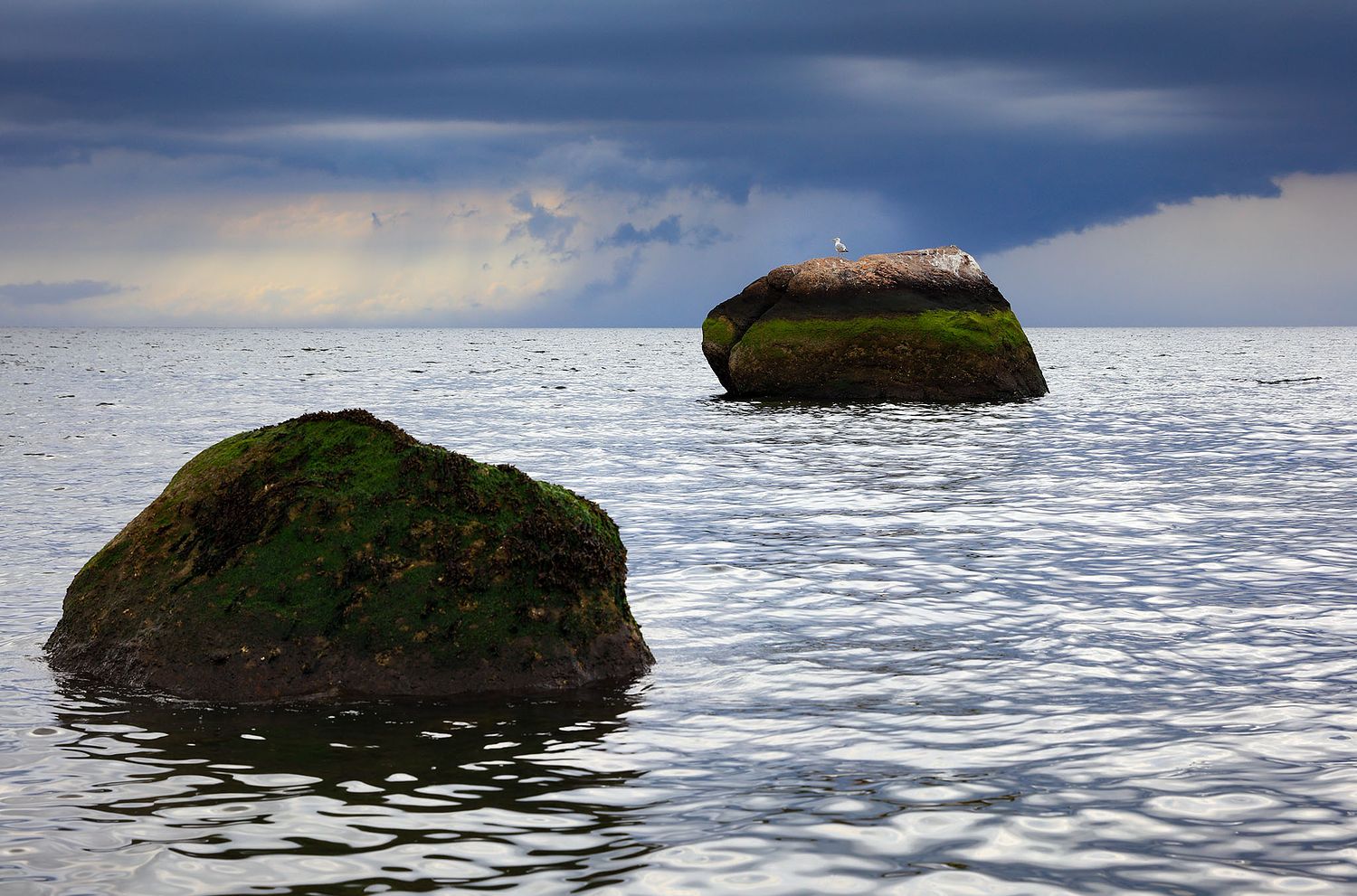 ALISON PERRY PHOTOGRAPHY