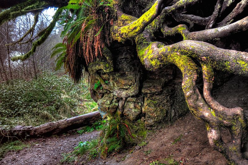 Honing My Craft: New Beginnings