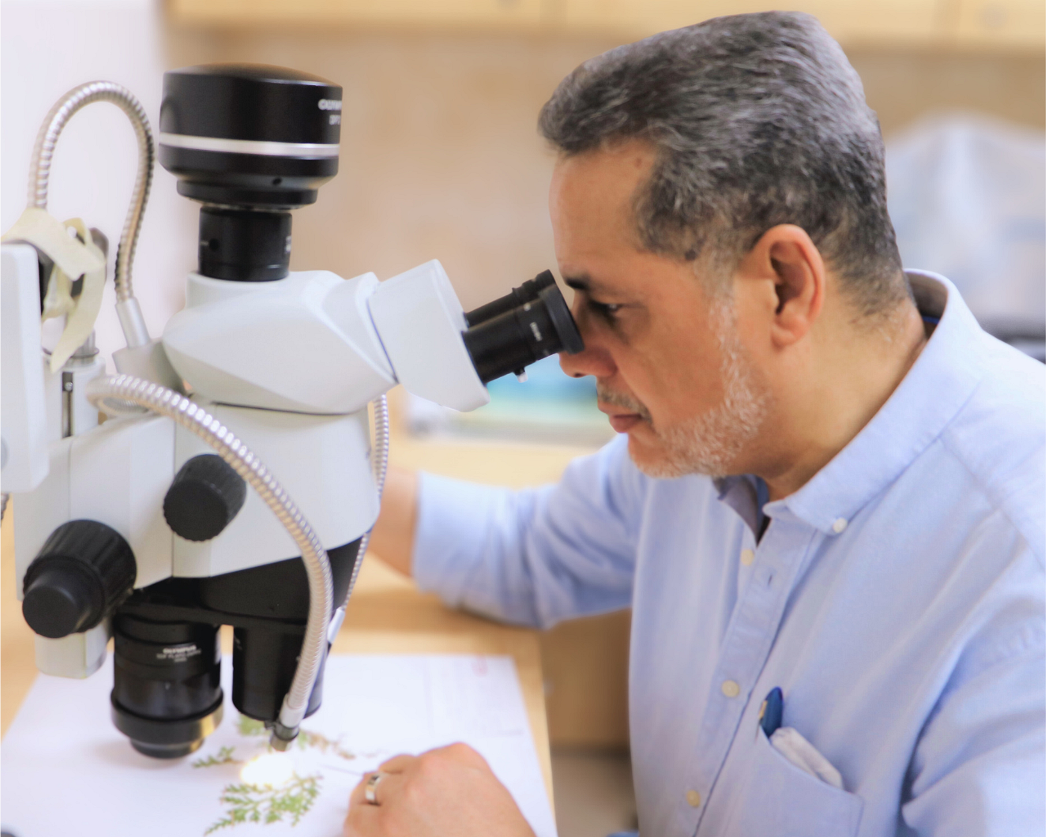 Proyecto de Investigación STRI 2025