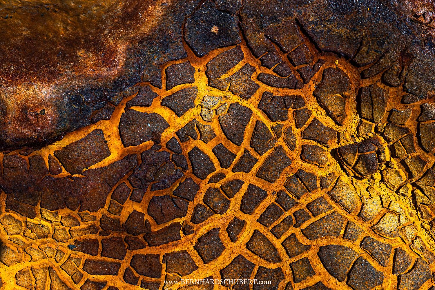 Toxic dried mud