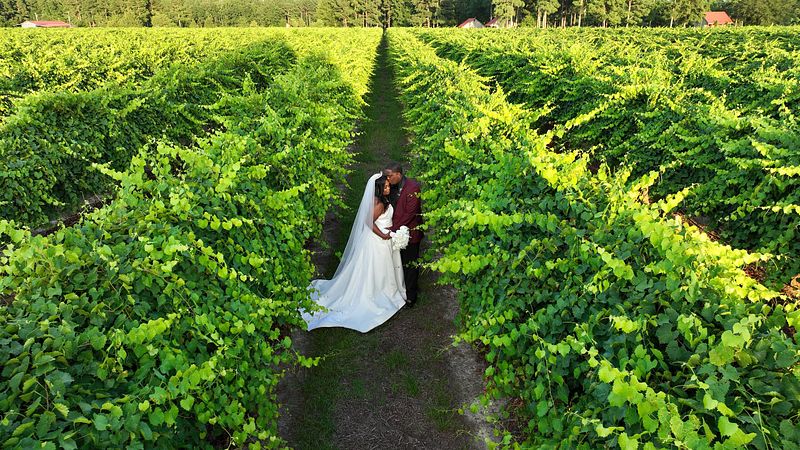 Private Budget - Wedding Photography - 6 Hrs