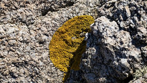 Rocky coast in Verdens Ende