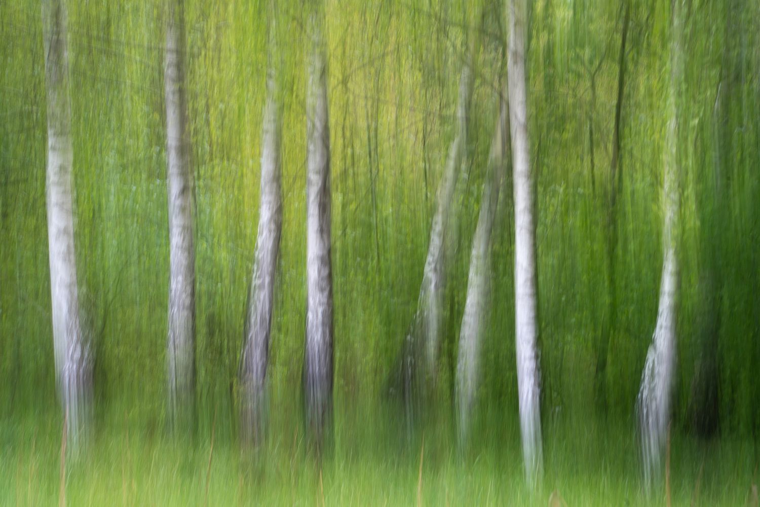 Agnes Anna Photography