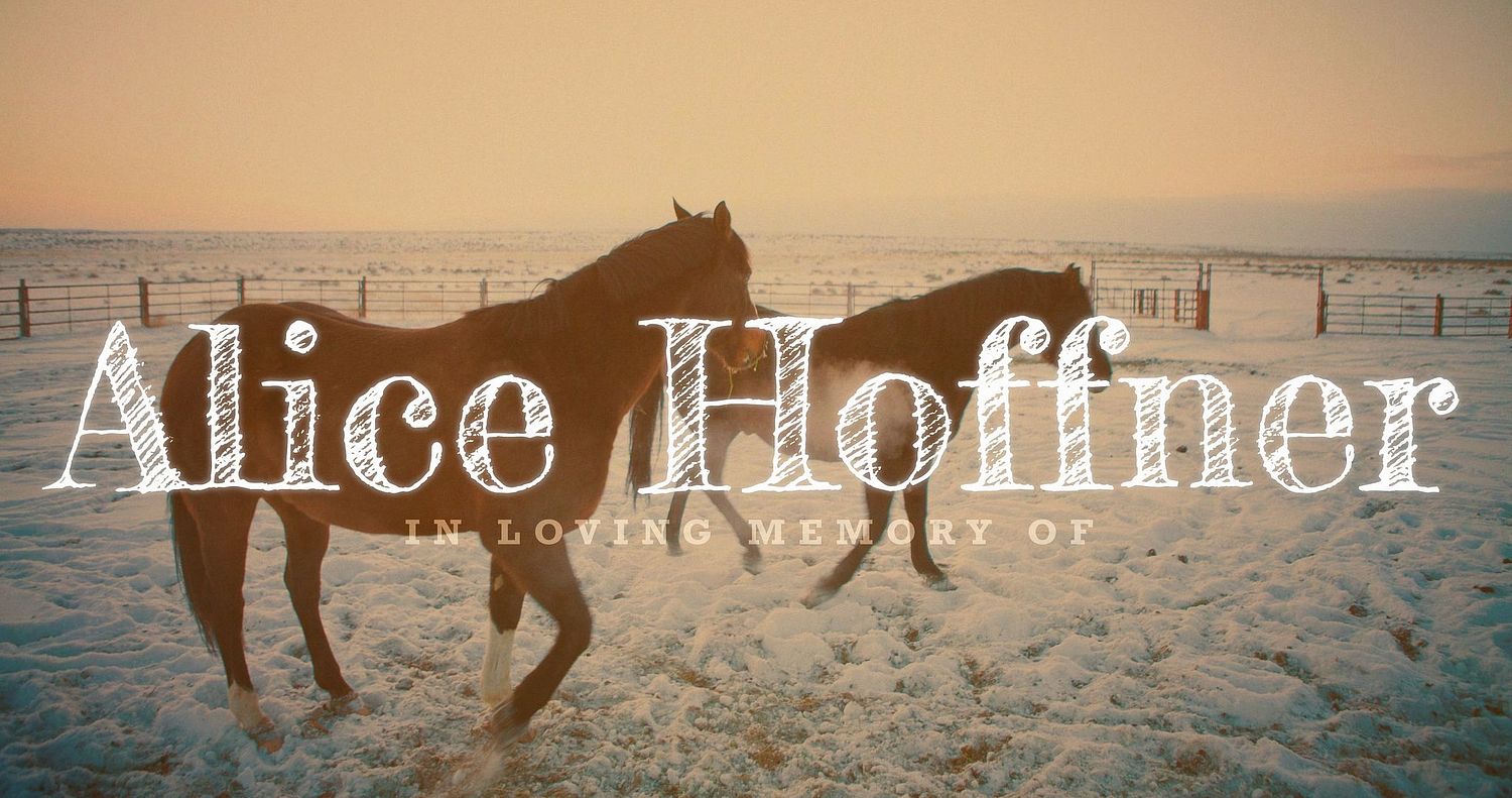 Josh Loves Light - Storyteller, Cinematographer, Director