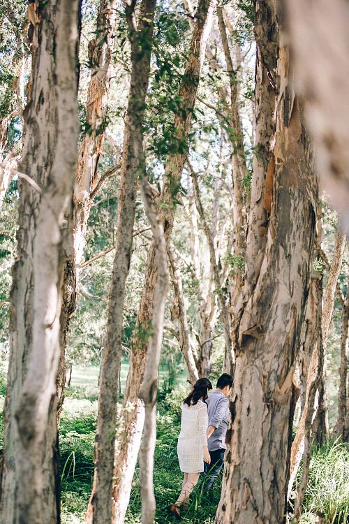 Chalk and Cheese Photography
