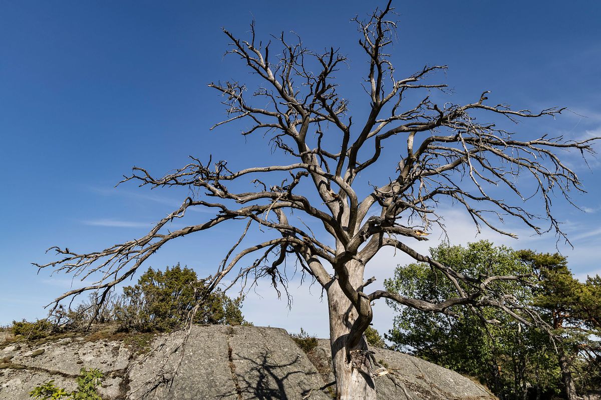 Stangnes Gea Norvegica Geopark