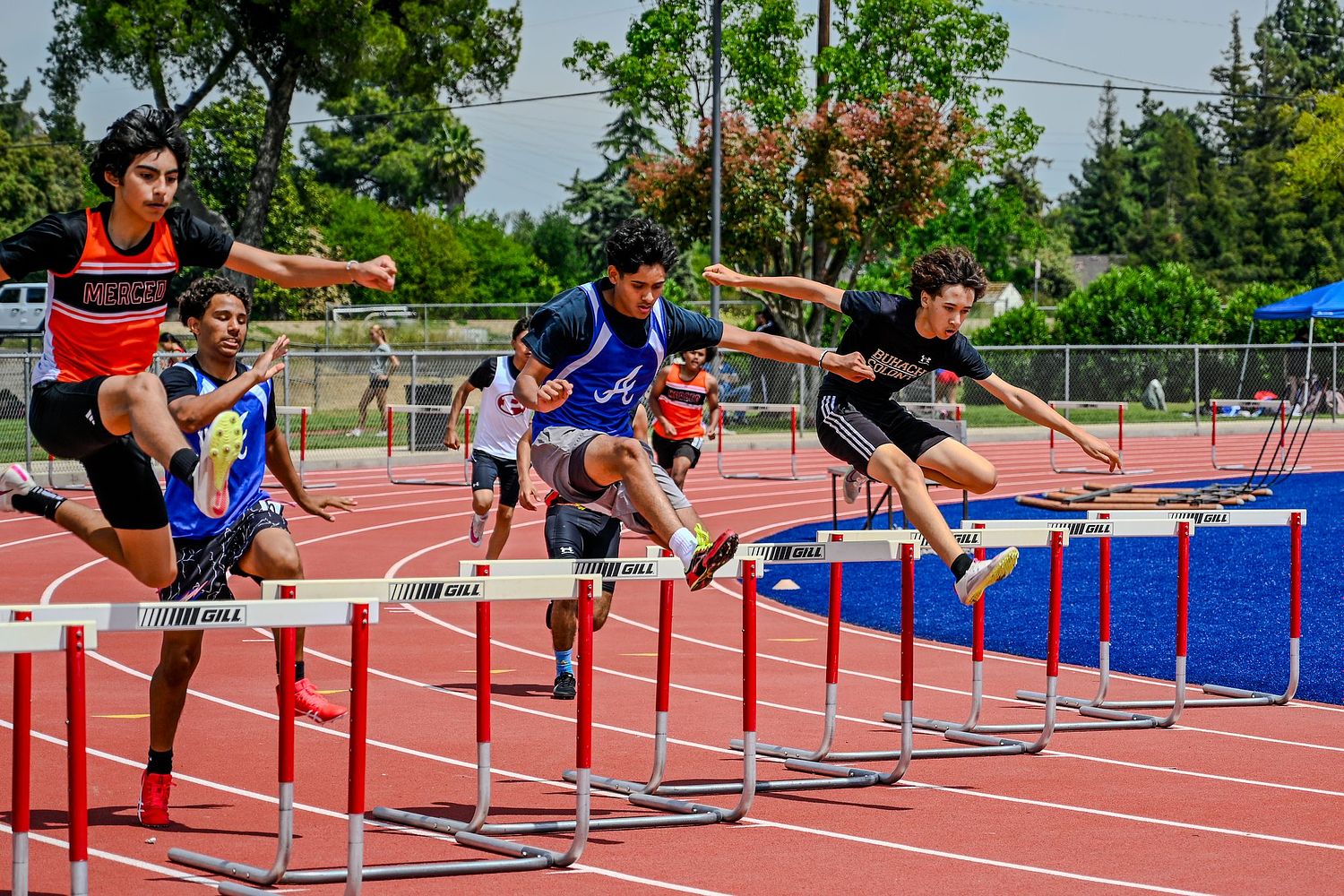 Mark Ingraham's Action & Nature Photos