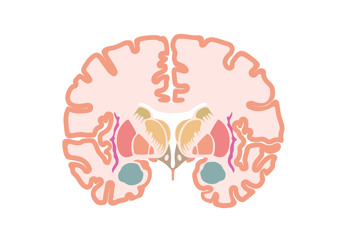 How estrogen affects serotonin and mood during perimenopause.