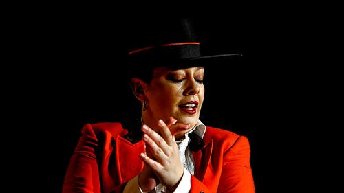 Danseuse de Flamenco en Andalousie