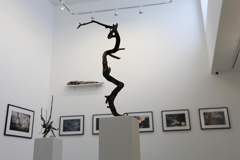 David Foster | Selected Prints