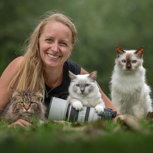 Een blijvende herinnering aan kat of kitten