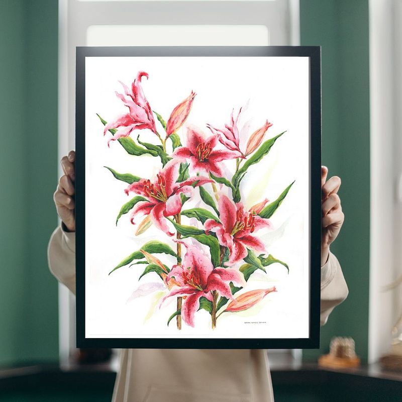 Pink Stargazer Lilies