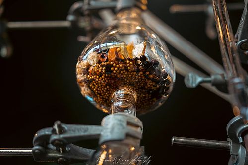 Visuals That Strengthen Your Brand