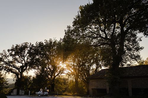 Luce del solo al tramonto che filtra attraverso gli alberi nel giardino della tenuta santi giacomo e filippo