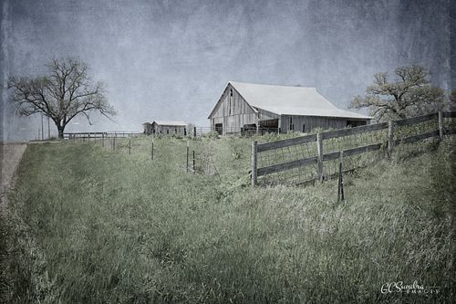 "Hillside Command" is a countryscape image along a hillside in rural Woodford County, Illinois. A barn and small shed preside over the fenced hillside pasture while two mature trees with springtime buds provide an additional sense of timelessness. This fine art textured print conveys a sense of quiet, peace, and nostalgia and is copyrighted by Gregory C. Sundra and GC Sundra IMAGES, LLC.