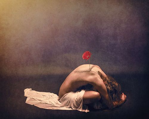 Femme nue recroquevill&eacute;e avec un coquelicot poussant de son dos, symbolisant la renaissance apr&egrave;s une blessure