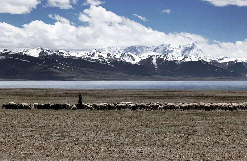 Limited Edition Fine Art Prints