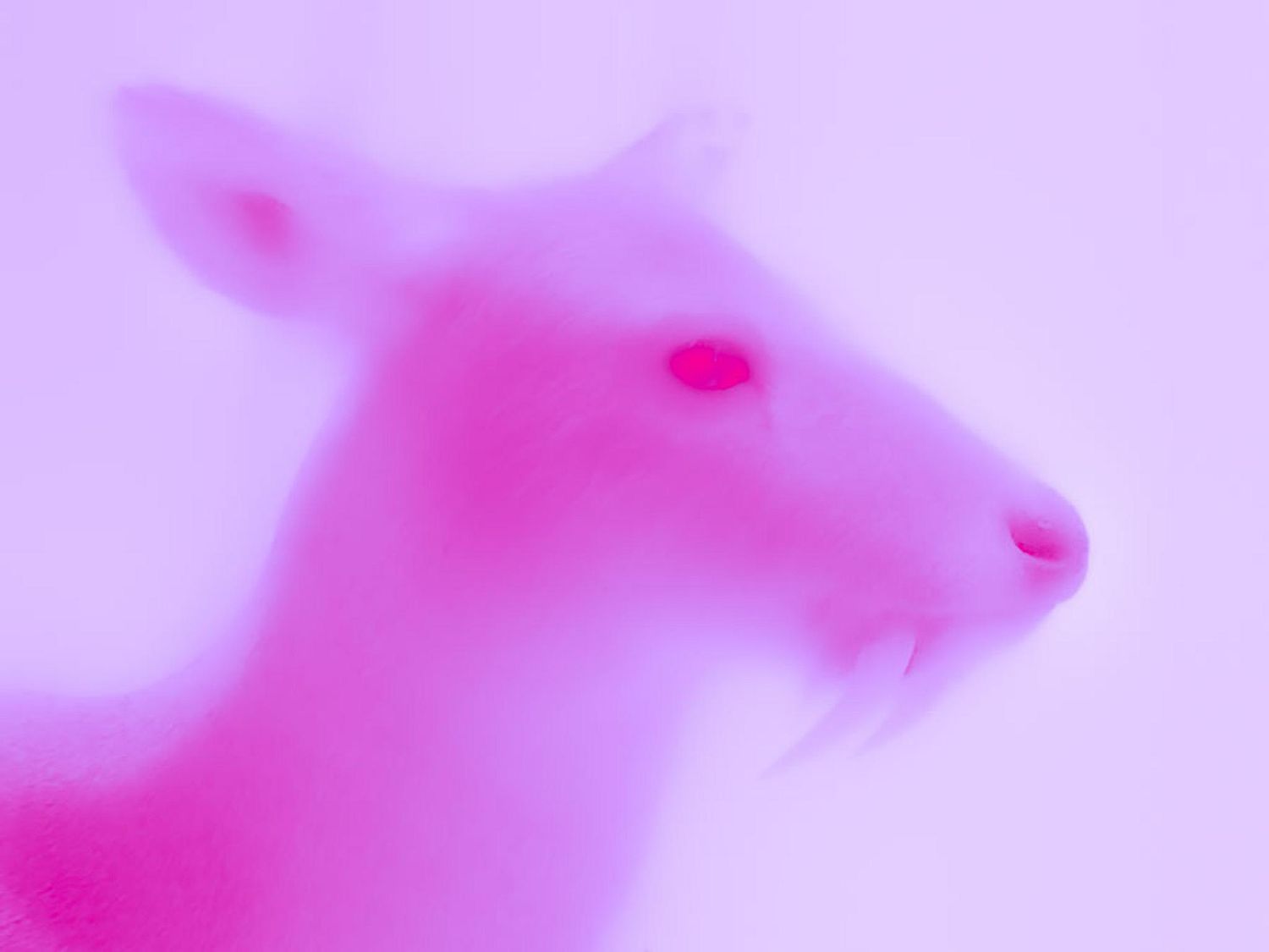 Lance Moore FIne Art Painting, Drawing, Photography