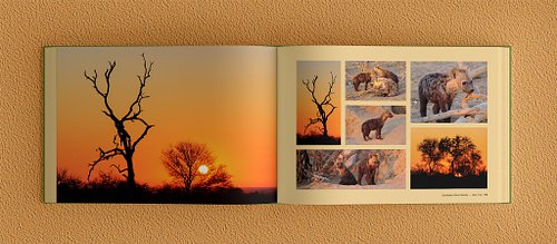 Double-page spread of the photobook showing a full-bleed sunrise tree silhouette on the left page and a combination of sunrise tree silhouettes and hyena photos on the right.