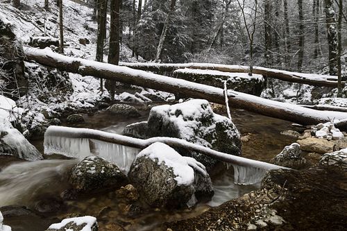 Winterliche Twannbachschlucht