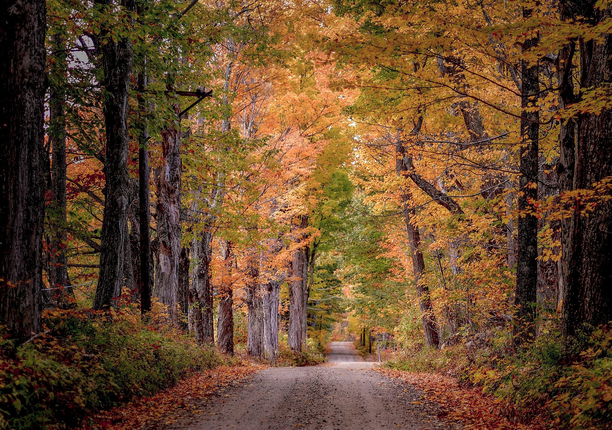 New England Fall Colors on a Country Road - New Hampshire