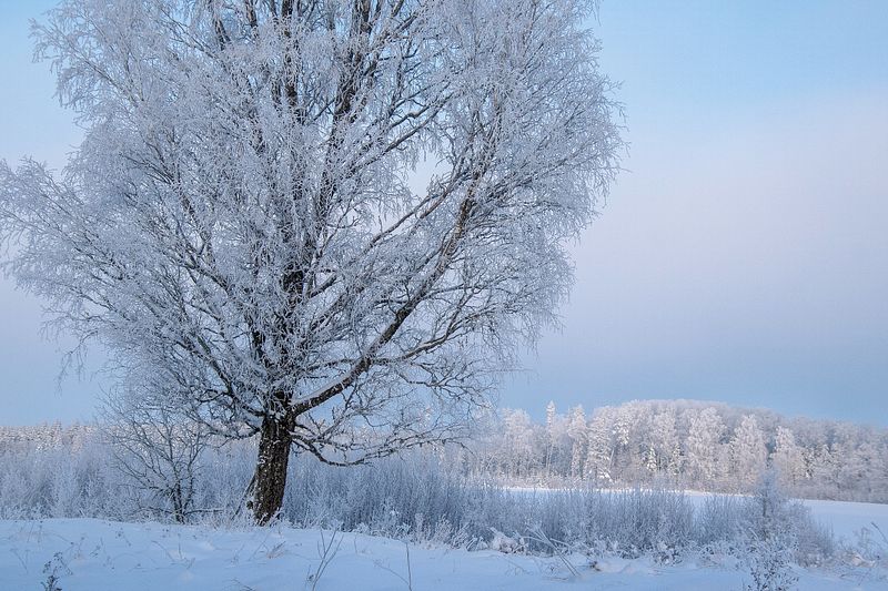 Nii kui need kaks kuud saabusid, muutus ilm kannatamatult jahedaks.